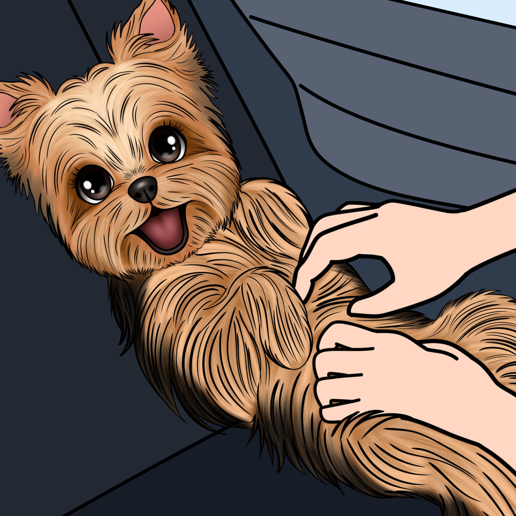 Ella-Mae the Show Puppy Crosses the Rainbow Bridge