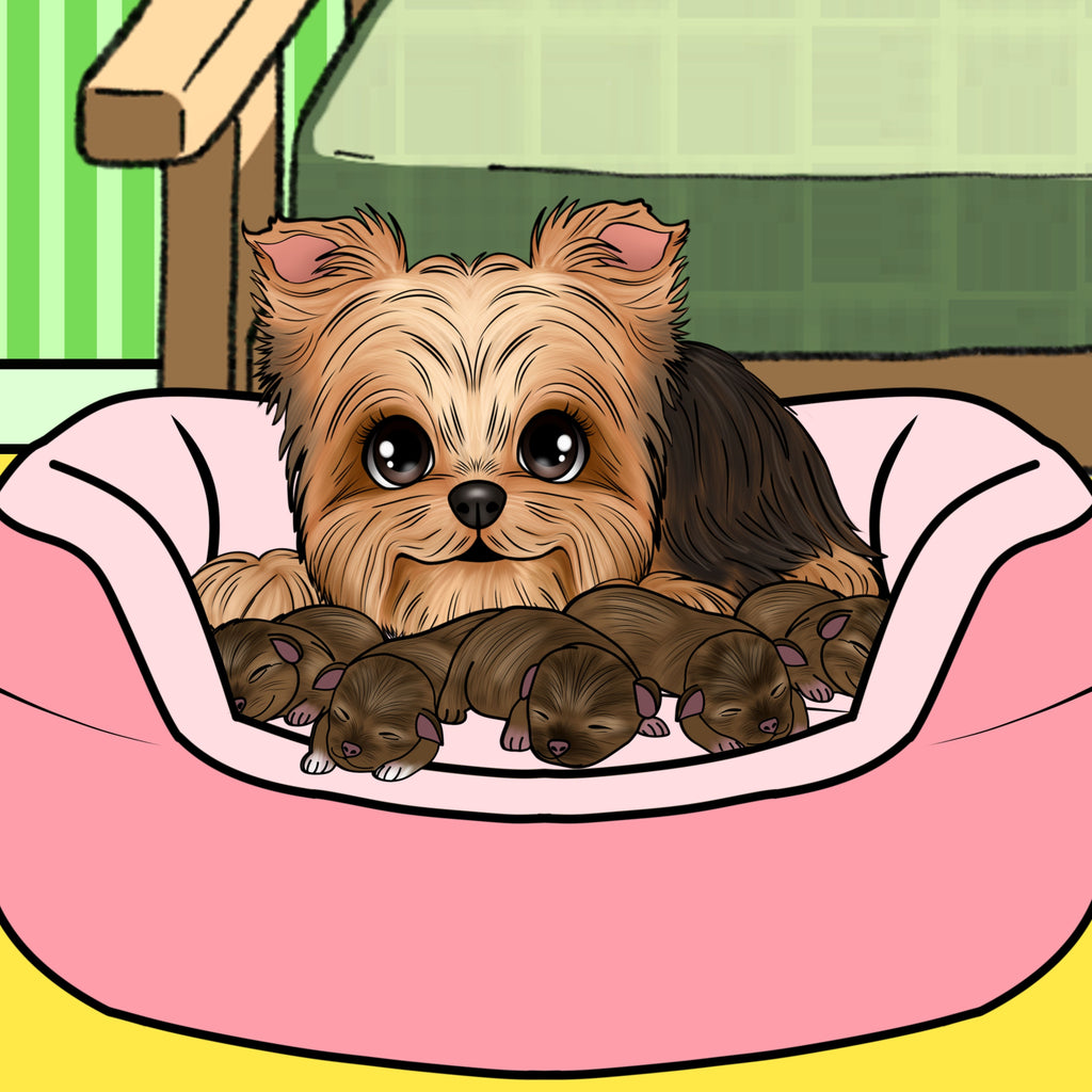 Ella-Mae the Show Puppy Crosses the Rainbow Bridge